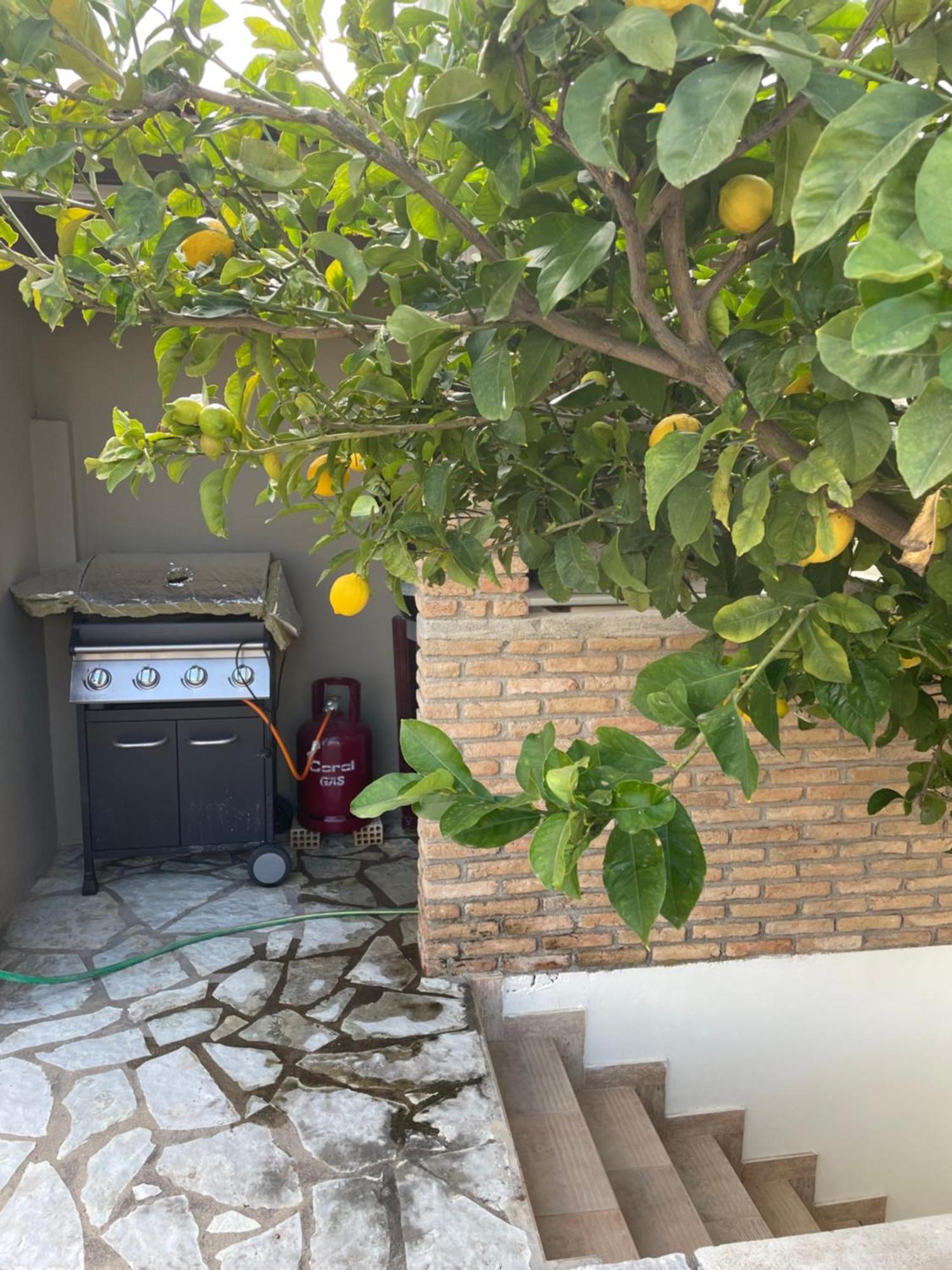 D&M Studio Ριο Πατρα Patras Exteriör bild